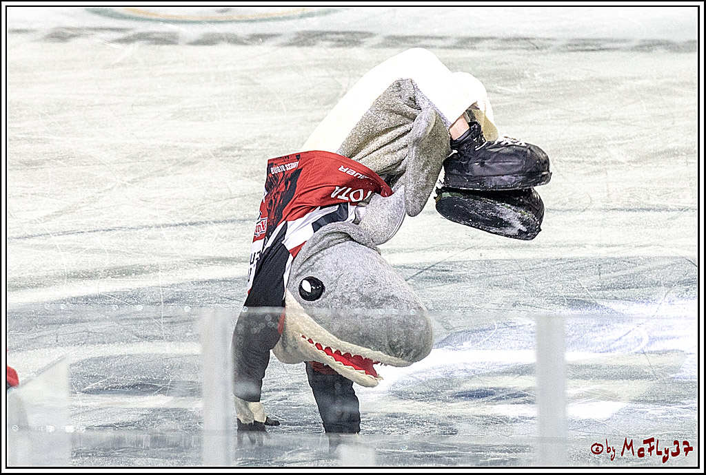 DEL Wintergame; Koelner Haie - Duesseldorfer EG; Koeln, 12.01.2019